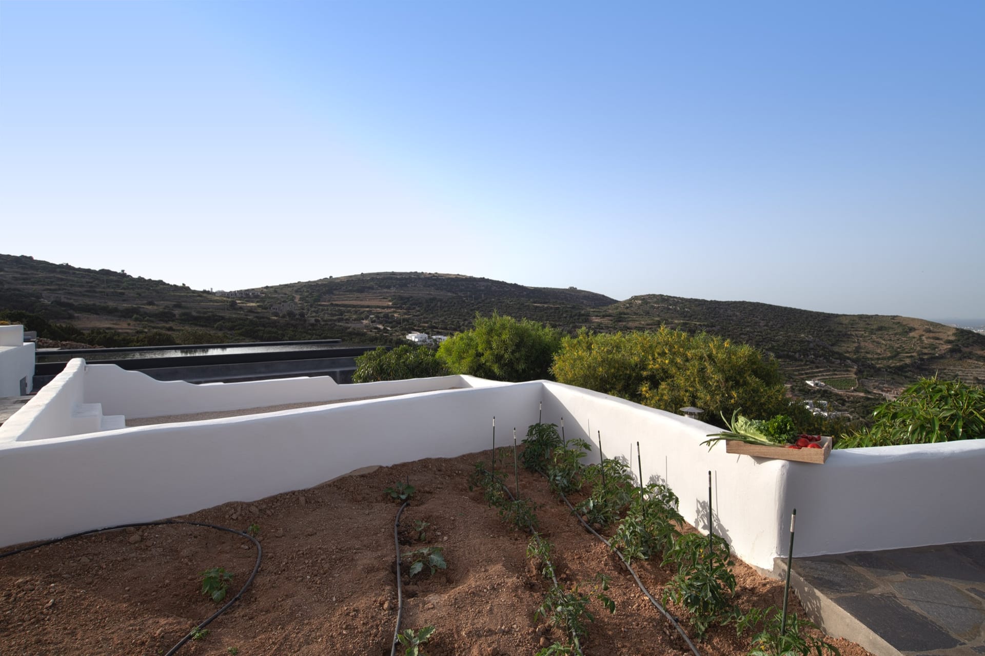 The herb garden